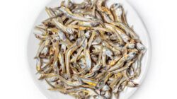Mengandung 20 Jenis Asam Amino, Ikan Teri Bermanfaat untuk Kesehatan Jangka Panjang