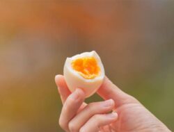 14 Makanan yang Boleh dan Tak Boleh Dikonsumsi saat Diet Telur Rebus