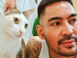 Robby Purba dan Tingkah Lucu Julian, Kucing Kesayangannya yang Menggemaskan