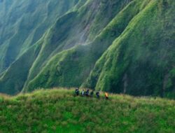 Viral! Penampakan Pemandangan ala Jurrasic Park di Bukit Trunyan Bali