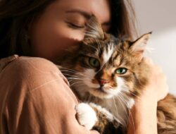 Waspadai Parasit Toxoplasma, Kotoran Kucing yang Bikin Wanita Susah Hamil