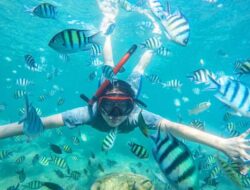 7 Spot Snorkeling Terindah di Kepulauan Seribu, Nomor 5 Masih Alami