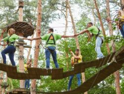 Aktivitas Team Building yang Efektif untuk Outing Kantor