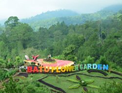 Batu Flower Garden, Pesona Taman Bunga di Lereng Gunung Panderman Malang