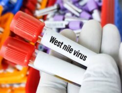 Apakah Virus West Nile Dapat Menular lewat Manusia?