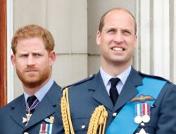 Ini Satu-satunya Orang yang Bisa Buat Pangeran Harry dan William Berdamai