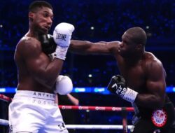 Anthony Joshua Diultimatum 48 Jam Terima Atau Tolak Duel Ulang Daniel Dubois